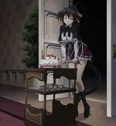 Akeno Dxd (5)