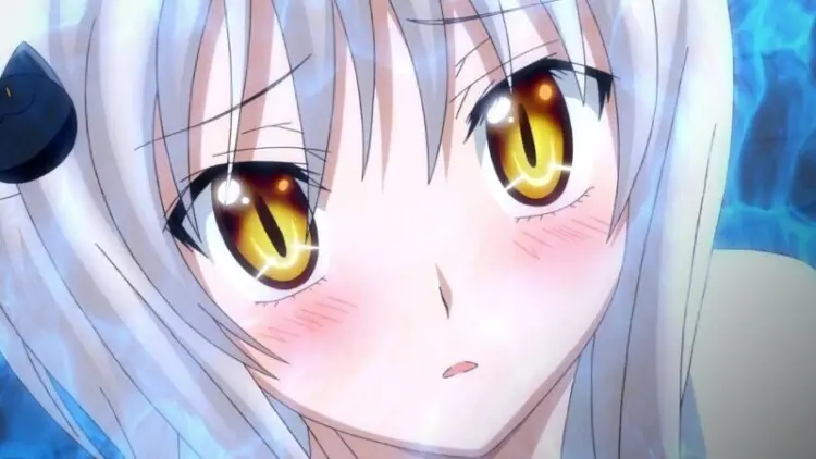Koneko Toujou Dxd (4)