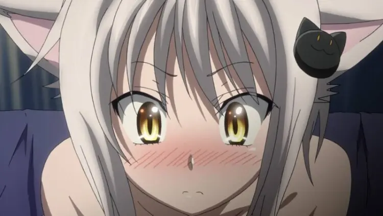 Koneko Toujou Dxd (5)