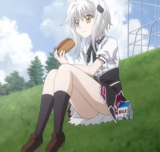Koneko Toujou Dxd (7)