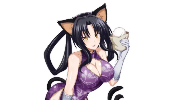 Kuroka Dxd Ecchi Fanservice (3)