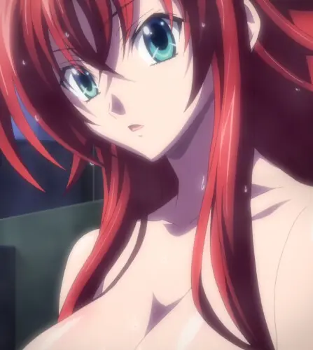 Rias Gremory Sexy Body Ecchi Dxd (13)