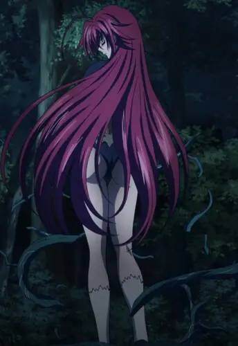 Rias Gremory Sexy Body Ecchi Dxd (20)