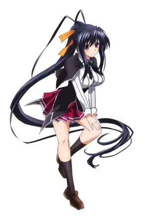 Akeno Dxd Sexy Waifu (2)