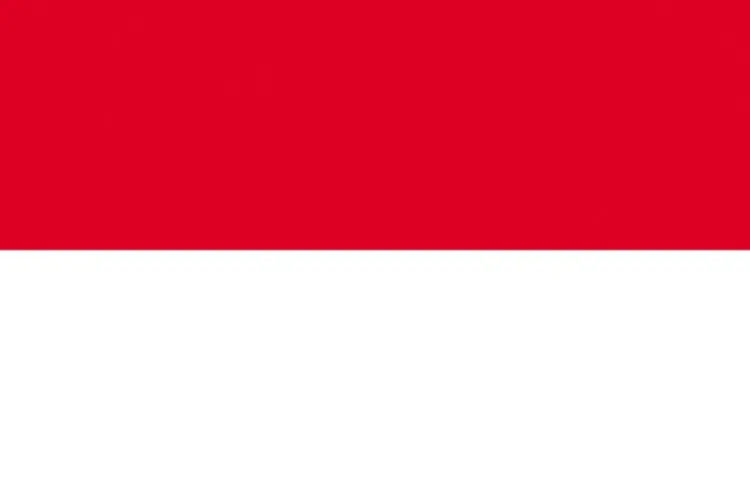 indonesiaXflag