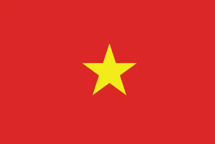 vietnamXflag