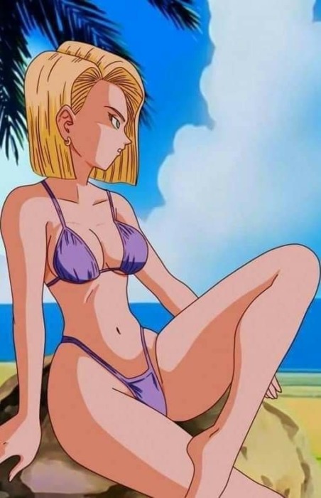 Daily Fanservice #27 | Android 18 (DBZ)