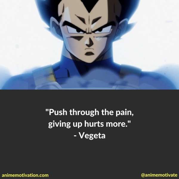 Dragon Ball Z Quotes