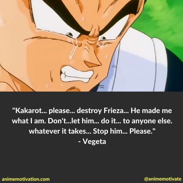 Dragon Ball Z Quotes