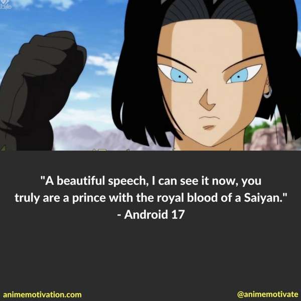 Dragon Ball Z Quotes