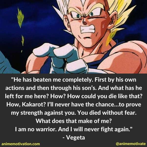 Dragon Ball Z Quotes