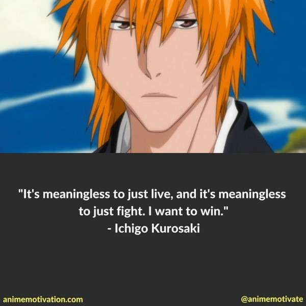 Ichigo Kurosaki Quotes 2