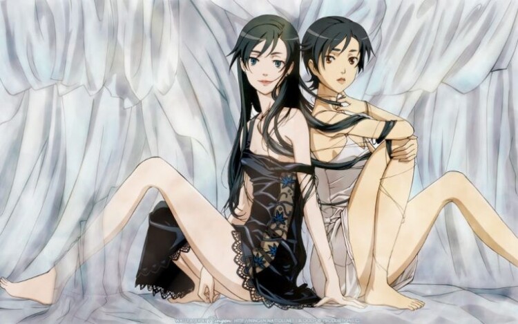 blood anime wallpaper saya and diva