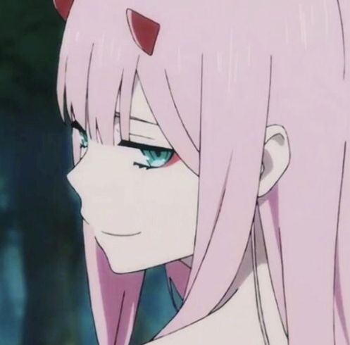 zero two horns