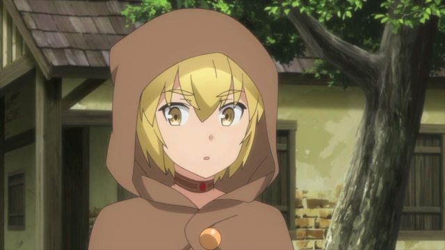 albus grimoire of zero hoodie