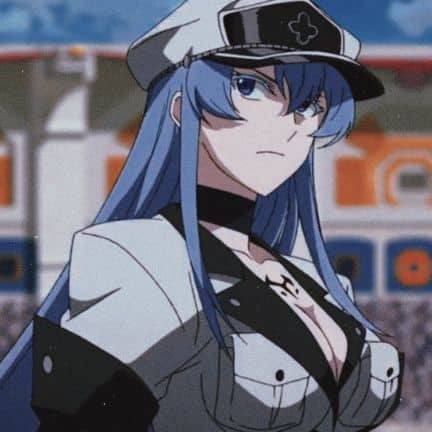 Esdeath general akame ga kill