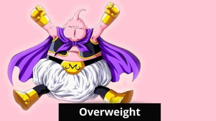 overweight anime characters 2 scaled