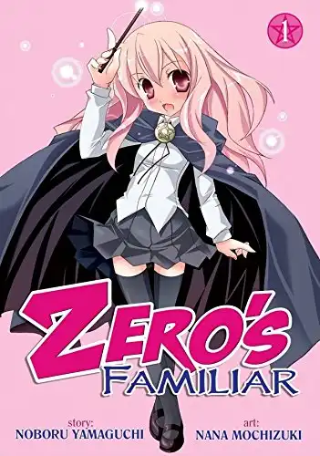 familiar of zero novel