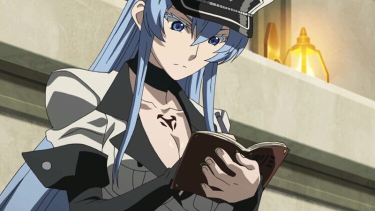 Esdeath Akame Ga Kill general