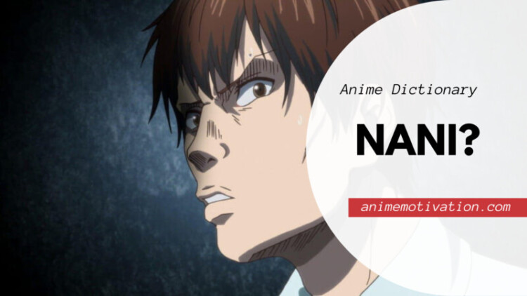 NANI?