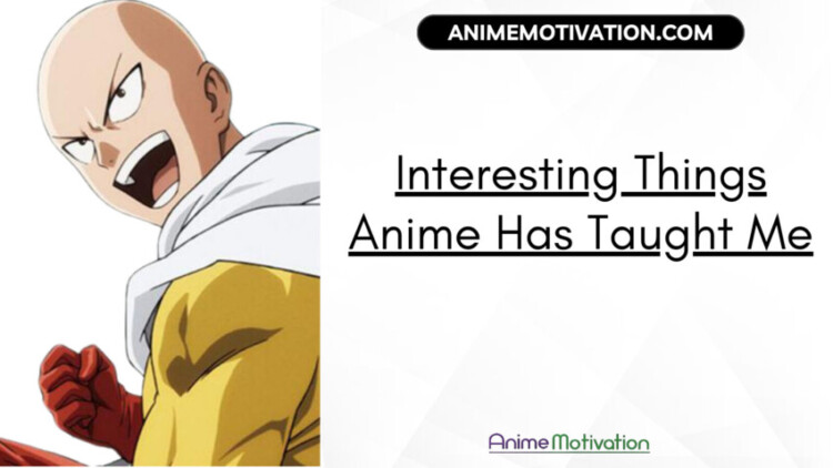 Interesting Things Anime Has Taught Me scaled