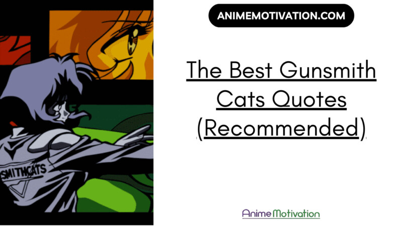 20+ Of The Best Gunsmith Cats Quotes (Recommended)