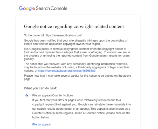 google email dmca 2025 anm